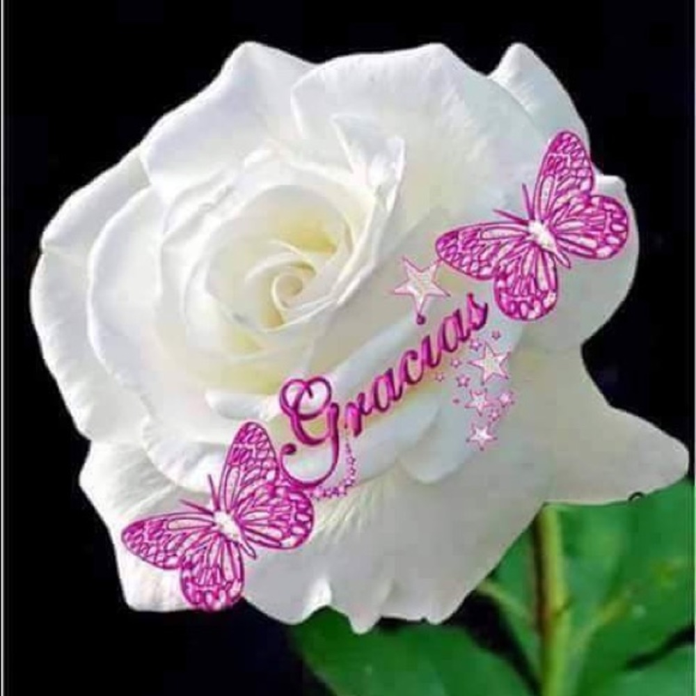 Meet your Posher, Aleida